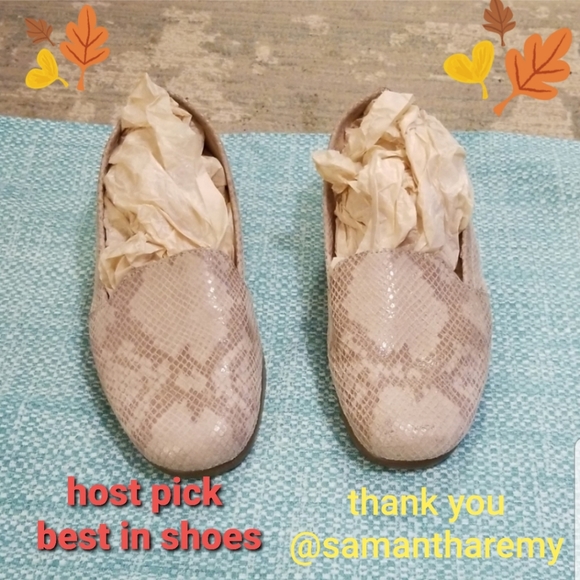 AEROSOLES Shoes - 🎉🎉🎉 HP 🎉🎉🎉Ladies shoes